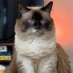 Meet your Posher, Scott